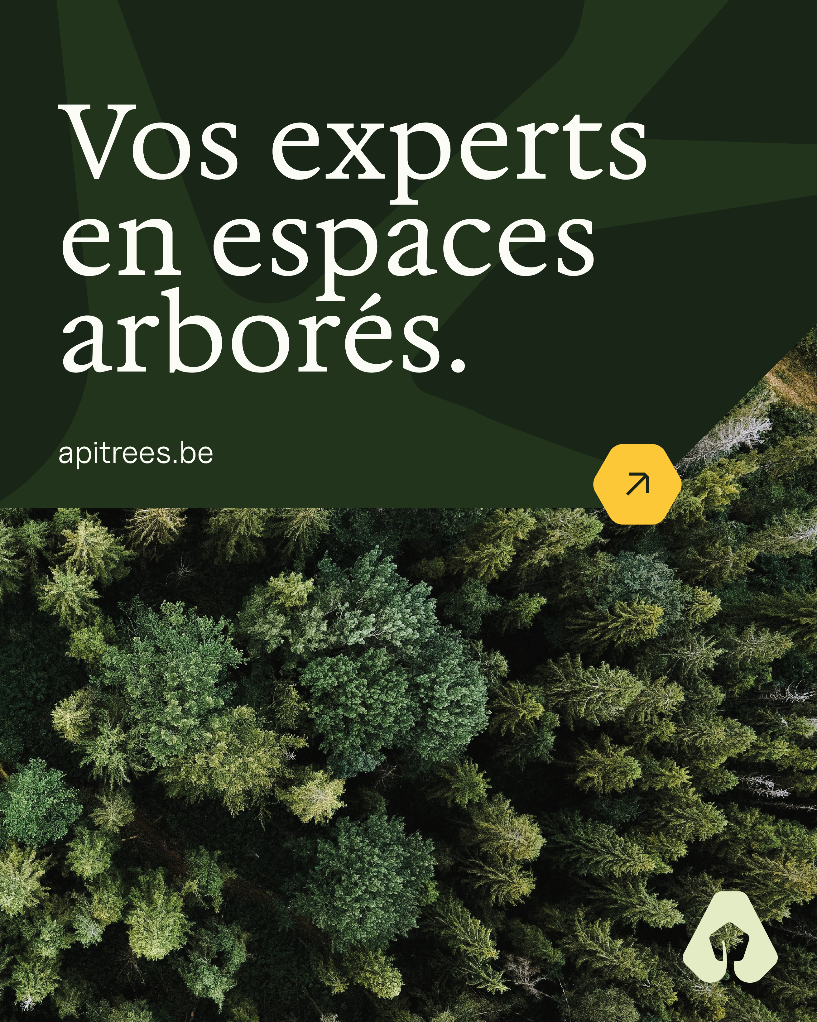 Apitrees brand preview